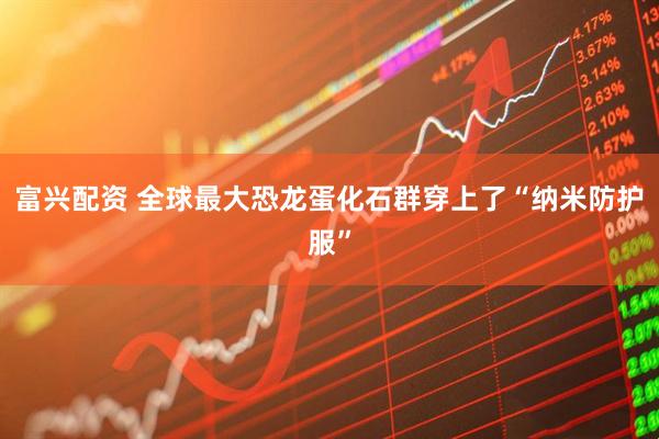 富兴配资 全球最大恐龙蛋化石群穿上了“纳米防护服”