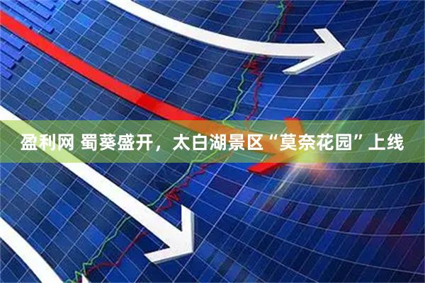 盈利网 蜀葵盛开，太白湖景区“莫奈花园”上线