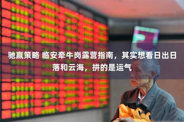 驰赢策略 临安牵牛岗露营指南，其实想看日出日落和云海，拼的是运气