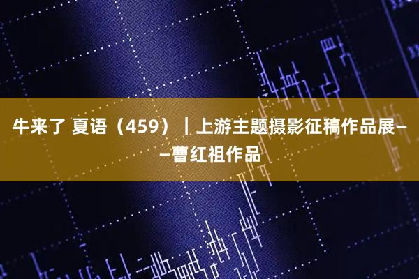 牛来了 夏语（459）｜上游主题摄影征稿作品展——曹红祖作品